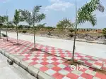 AT JULKAL NEAR SHANKARPALLI TO IIT KANDI HMDA APVED OPEN PLOT FOR SALE