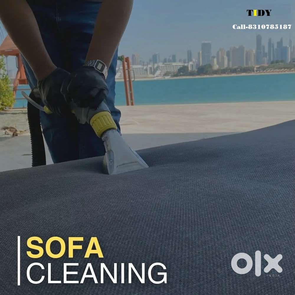 Need boys for sofa cleaning