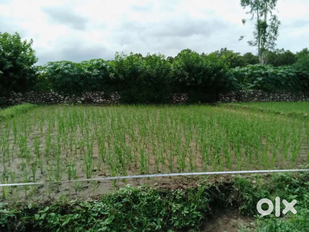 Small Society Near Police Chowki Dhudhli Urgent Sale