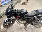 13 model 1 party hai