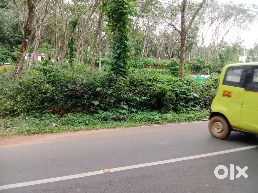 നെടുംകുന്നം 13 cent house plot.2.25 .lakh