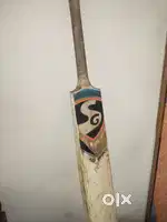 SG CRICKET BAT