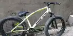 Fat cycle for sale urgent need of money