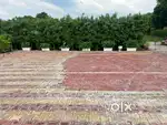 30*75 250 gaj commercial plot for sale  30 feet road two side 4.38 cr