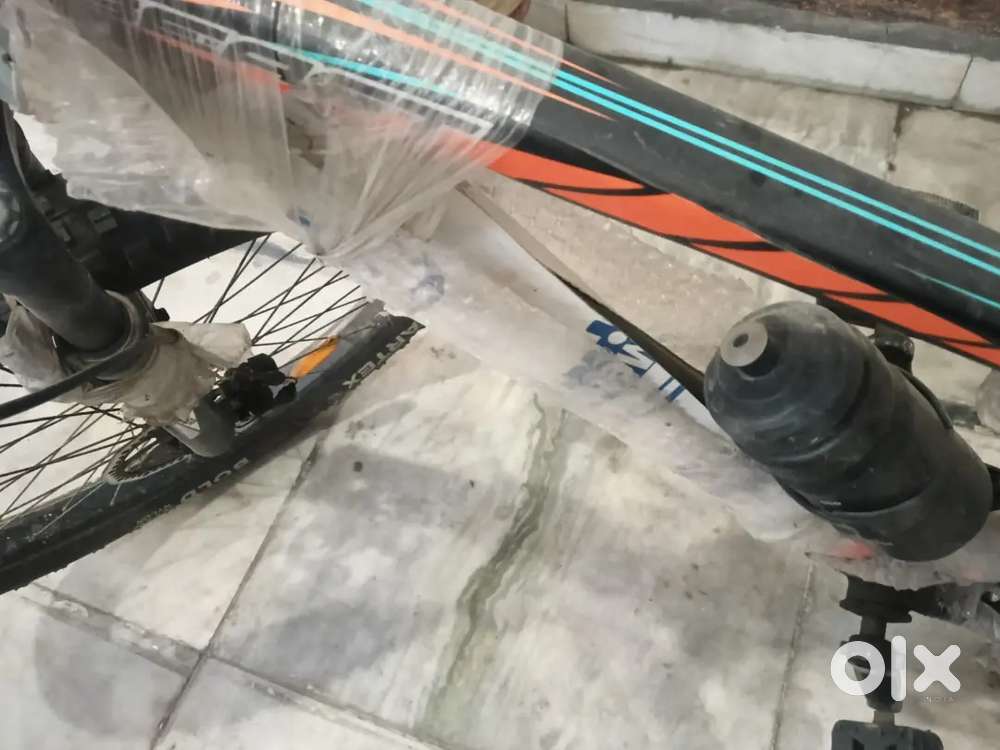 Lader fat tyre bicycle