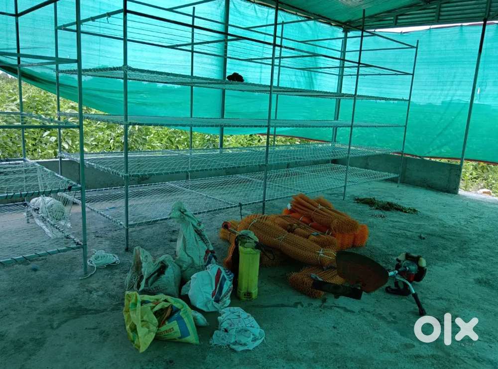 रेशीम all setup