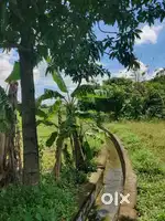 Land for lease /sale