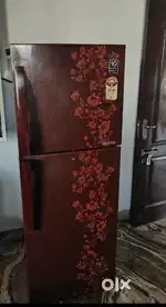 Samsung Double Door Refrigerator