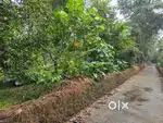 HOUSE PLOTS@ANGAMALY - KARUKUTTY5cent,7 Cent, 10 Cent plots Available