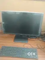 Office boy piun