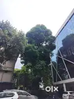 Fully Furnished Corporate office Rent