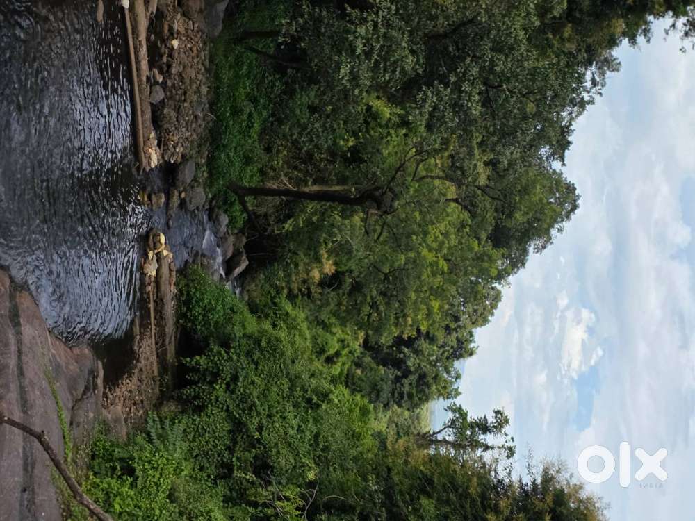 Vada master and kitchen helper