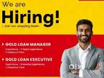Gold loan manager