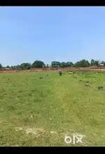 Plot for sale at khordha