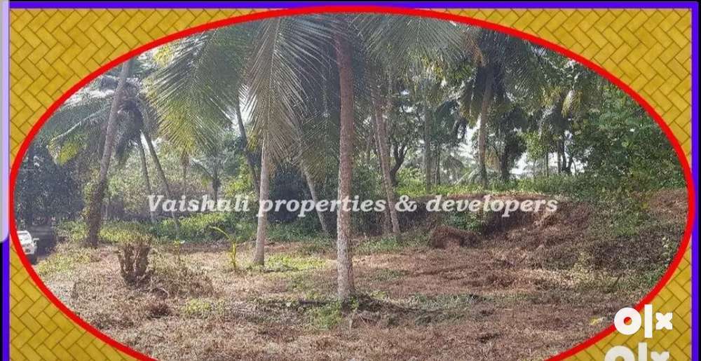 6 cents House plot for sale in near Pottamal