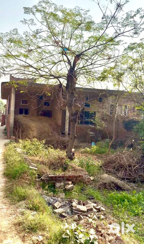 9 marle jagah pind mohar price km ho jayega