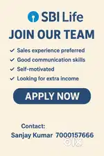 Sales Advisor