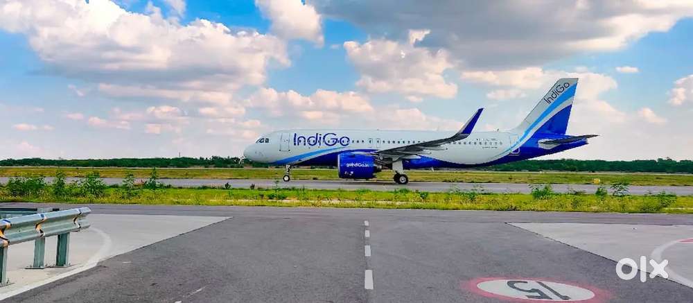 Urgent hiring for ground staff vacancy apply fast
