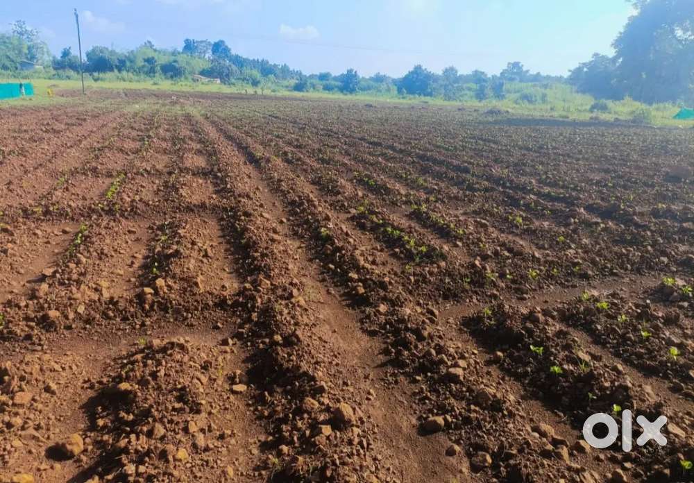 आदिवासी जमीन  विकणे आहे. एकूण 12.5 एकर