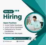 Junior Python Developer