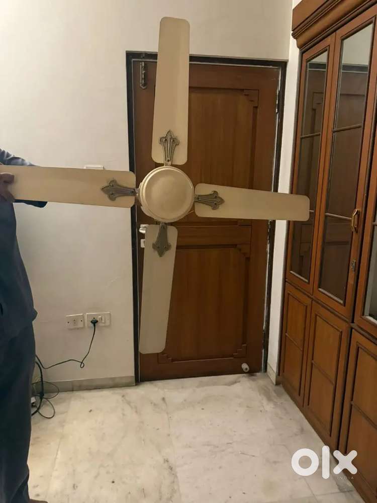 Antique Fan
