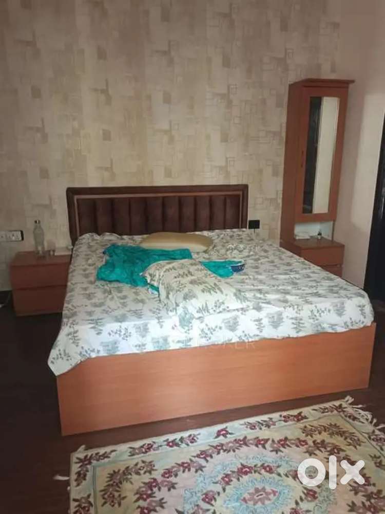 1 bedroom kitchen bath for working boy only sector 43 Chandigarh