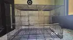 Large bird cage