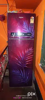 WHIRLPOOL IF INV CNV 305-3S/292 LTR REF-WINE PALM-N