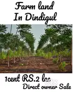 பண்ணை நிலம் விற்பனைக்கு