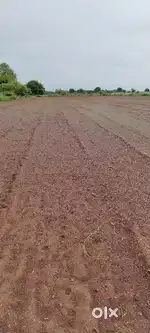 I want to sell my land