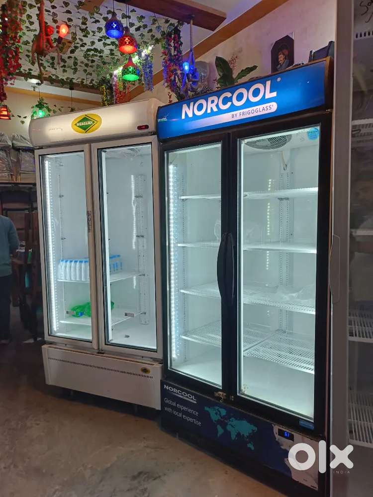Duble door visicooler frize in cheapest price
