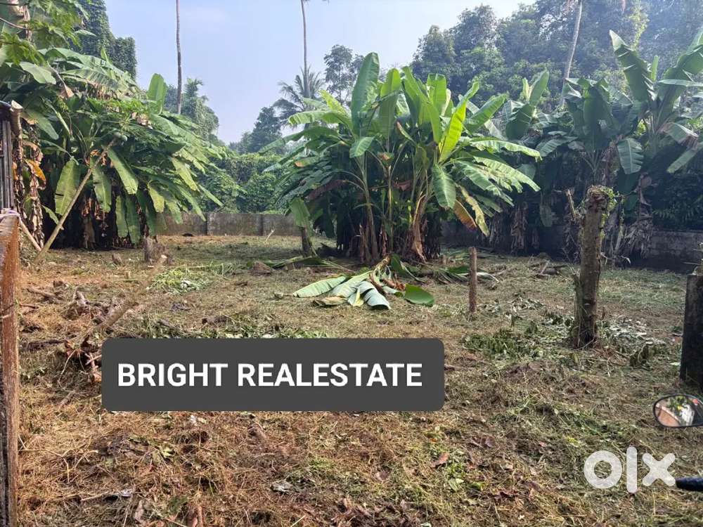 7 Cent Residential Land Near Pulinchod Metro, 150m from Highway