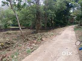 18 cents land near kulshekar church  Mangalore Karnataka