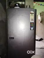 2 year old  freez