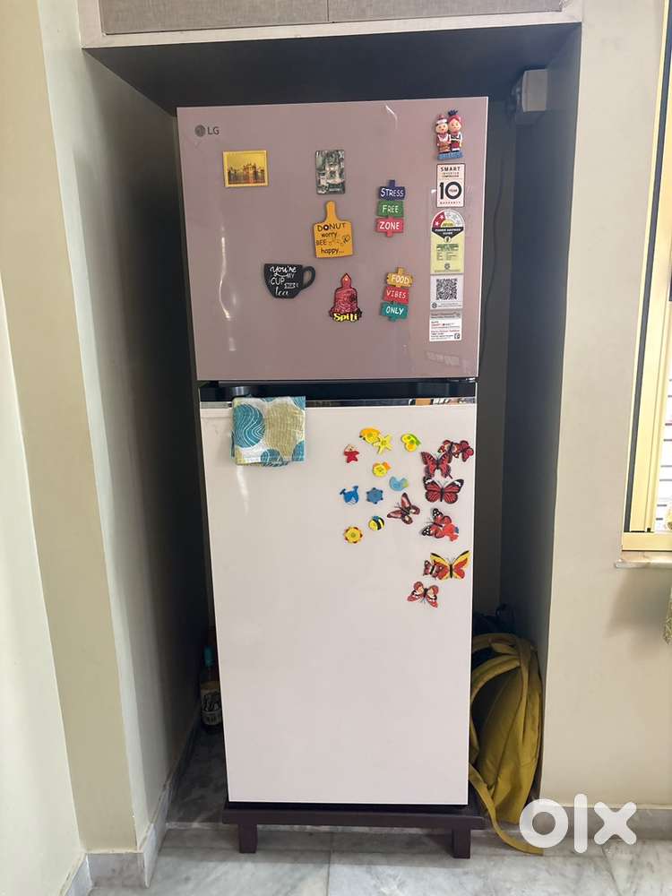 LG fridge double door smart inverter