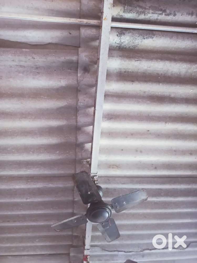 Small fan sell