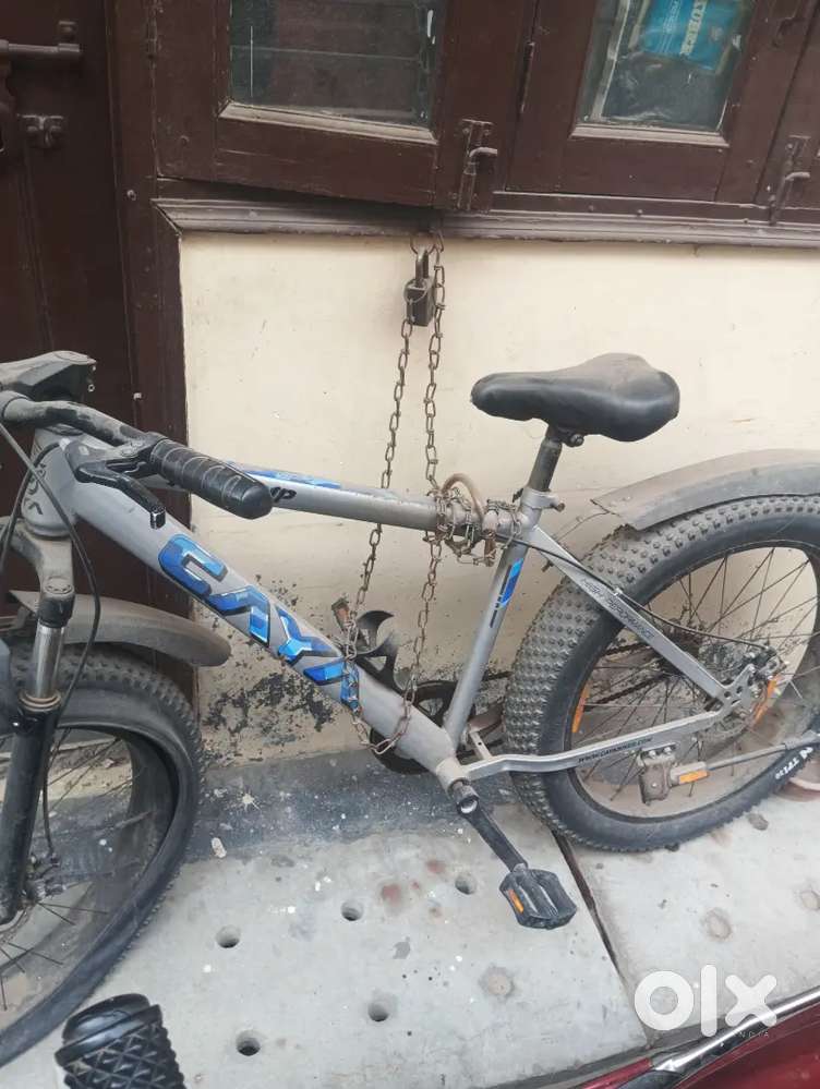 Fat biecycle