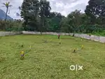 Plot for sale near ottapalam