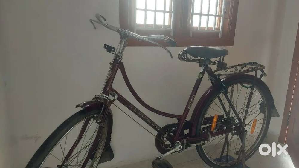 Bicycle with Lock