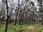 Land for Sale!  - Location: near Belthangady - 10 acre land