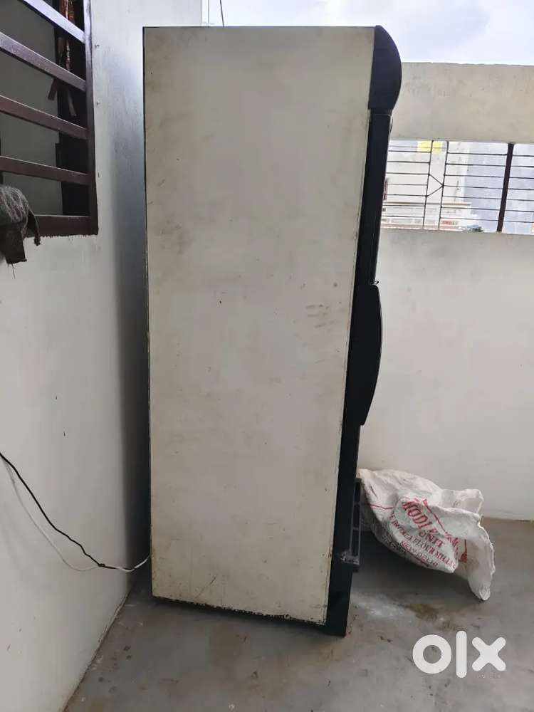 Pizza cart and fridge griller oven momos stemect