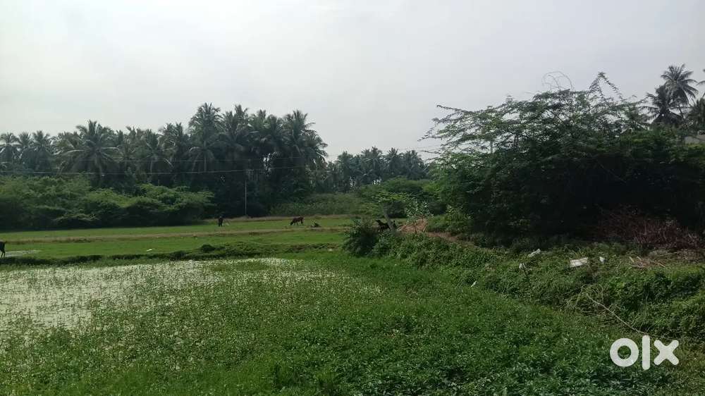 உடனடி இடம் விற்பனைக்கு