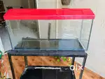 Fish tank with roof and oxygen filter