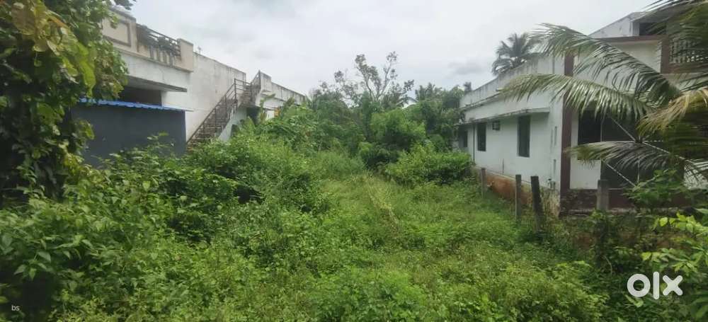 5 cents Parambu for sale at Pudunagaram, Palakkad.