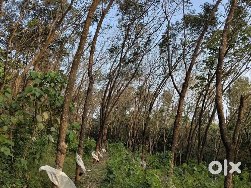 90 cent Land for sale urgent sale.