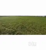 Agricultural land 1 acre फायदे का सोदा