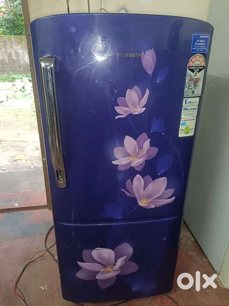 Flower type fridge for sale