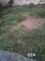 105 gaj plot for sale near Vidai Marriage Palace Shanti Nagar Bhiwani