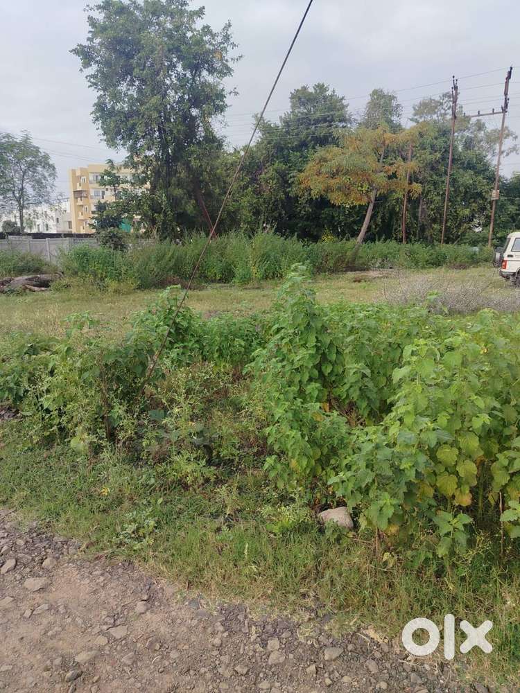PLOT FOR SALE ROHIT NAGAR