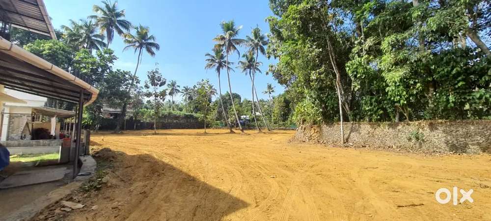 കോതമംഗലം ടൗണിന് സമീപം ഹൗസ് പ്ലോട്ടുകൾ വില്പനക്ക്